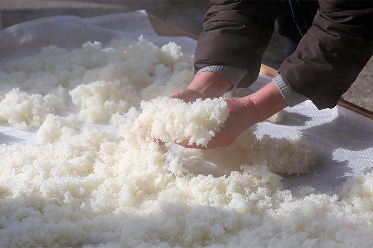 米発酵液の秘密